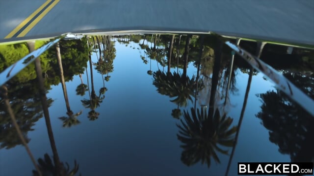 BLACKED Sexy Blondes Elsa Jean & Ivy Wolfe Share Huge BBC