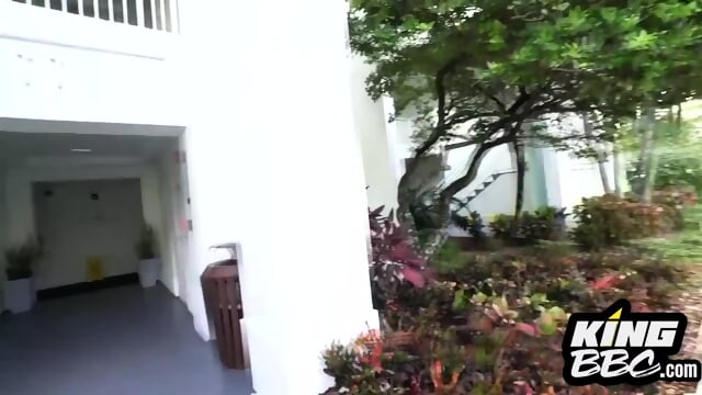 Somebody Ol Housewife Impressed By BBC