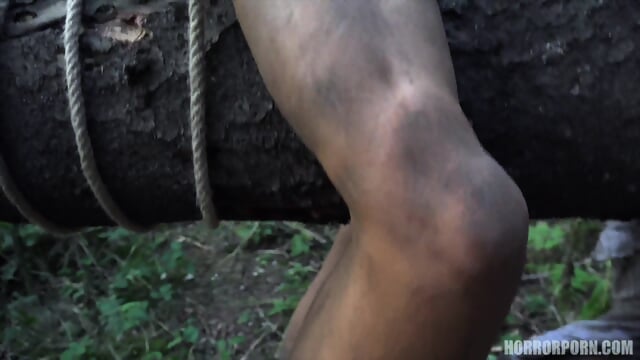 HORROR PORN â The Dark Side of The Woods