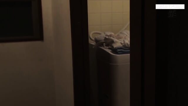 NITR 035 English Subtitle My Friend's Mom sex slave hardcore masturbation pussy cumshot orgy dgs