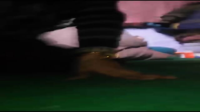 Nepali wife cheats when husband out of town