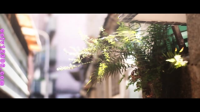 MDSR-0005-3 China AV Englishsub