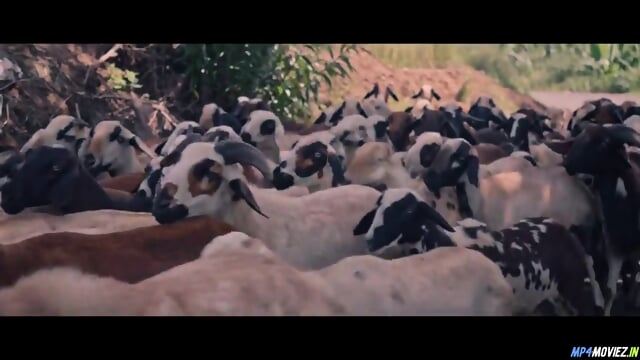 Ullu nehle-pe-dehla 2-2024-hindi-hot-web-series sm video