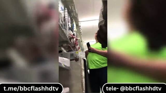 Had a great talk with this chubby milf while flashing my dick check my tele for full video