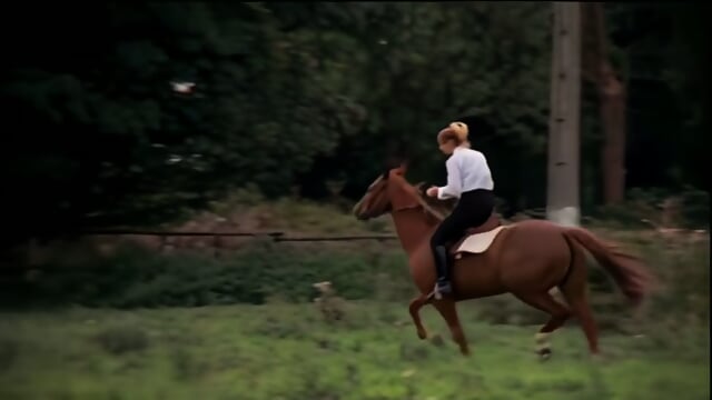 Classic Vintage 1970s French Porn - Cathy Stewart