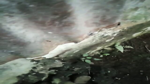 NGINTIP TETANGGA LAGI MANDI