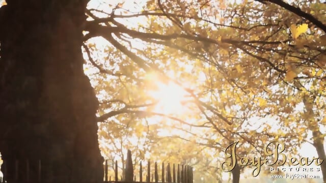 Chessie Kay - Domestic Bliss