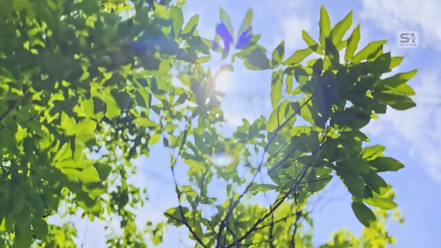 This Niece Was Forced To Stay Alone At Her Uncle's House, Whom She Hates While Visiting the Countryside... The Lolicon Man Who Started His Moves Turned Out To Be A Perfect Match With His Gross Dick And This Young Girl's Pussy! 2 Days And 2 Nights Of Sweat
