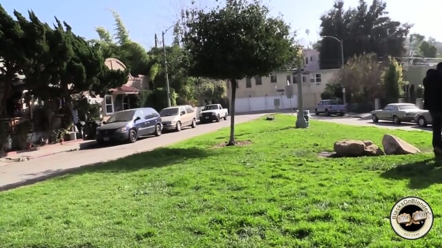 Holly Michaels BoB - WARNING! RACEPLAY