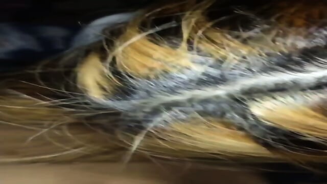 My horny Filipina cousin