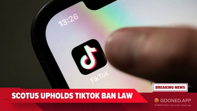 The TikTok Purge PMV