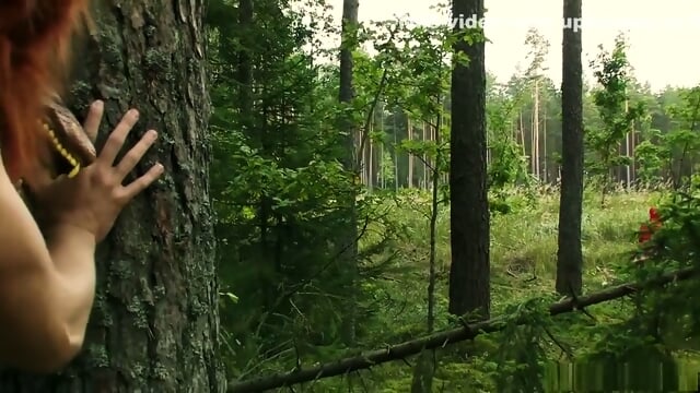 Little Red Riding Hood