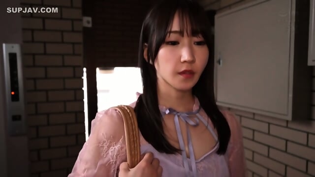 DASS Shiori 736 Yorimoto