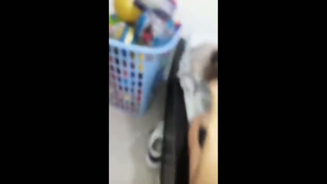 Big boobs ex gf ki chut chudai kiya desi mms sex