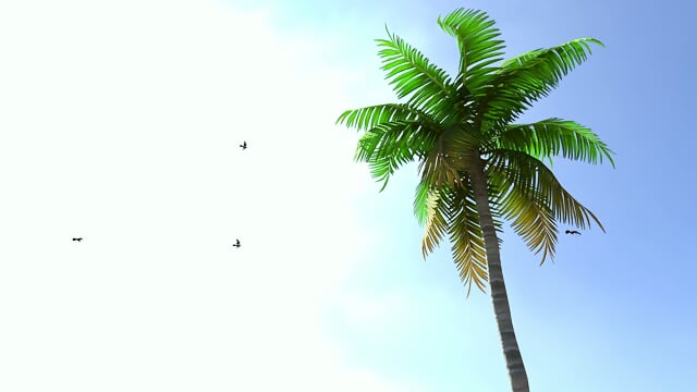 [BiderPL] Cartoon - Aunt Cass The Beach Episode (Redmoa) 2025