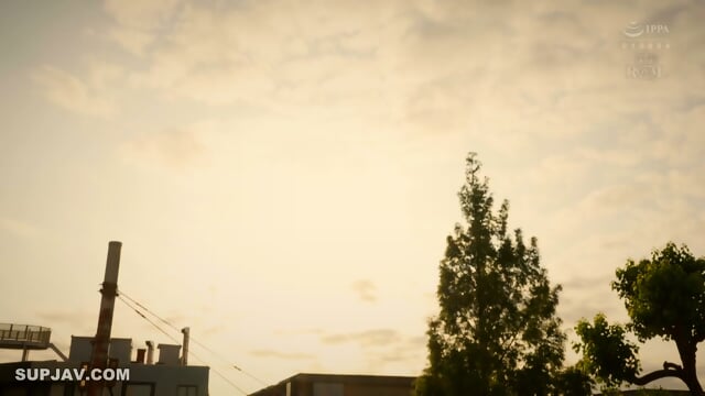 ROYD-156 The Neighbor Older Sister With No Bra And Bulging Nipples. Mary Tachibana