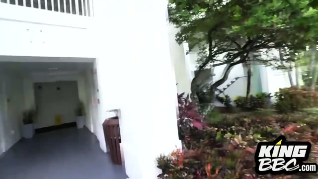 Argument Turns Into A BBC Experience