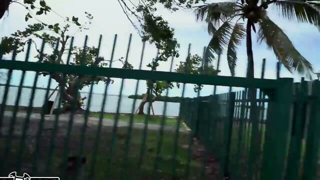 dont be shy and jump into the bangbus