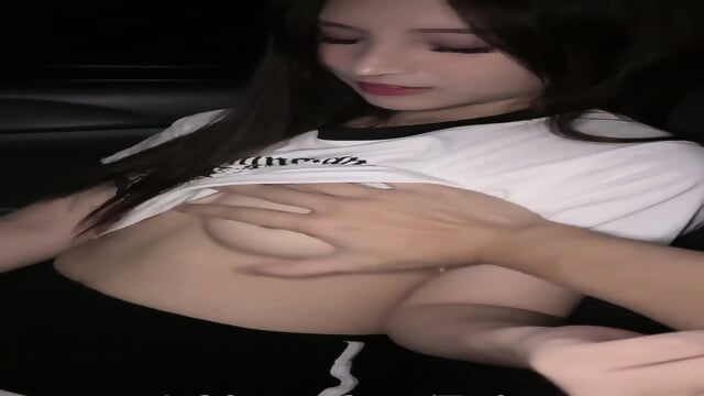 Beautiful Chinese girl fucked in the van