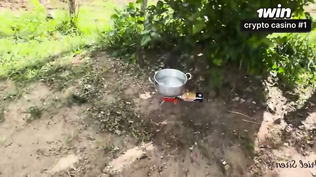 Youtuber brasileira famosa registra momento Ã­ntimo com creampie em vlog de acampamento.