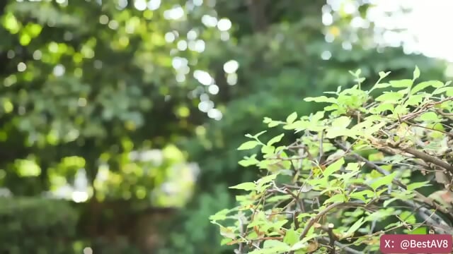 Yakusaâs Cum Dumpster Sex PET (Part #01 Of 2) â¤ï¸ 10 DAYs Hot Passionately Lusty FUCK CIM CumPLAY ð¥ I7P76X 776 ðð Gorgeous HairyPUSSY CumSLUT Karen Kaede