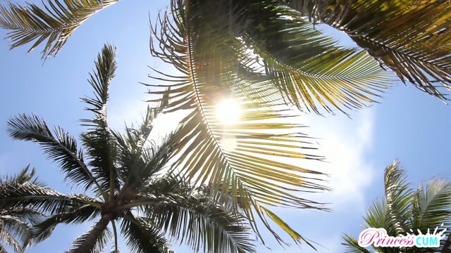 Stepsis Is So Jealous