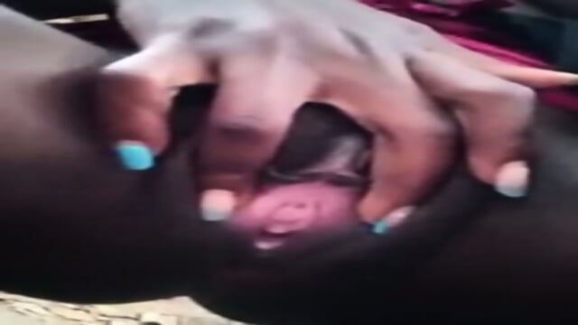 Ugandan Slut  Strangers