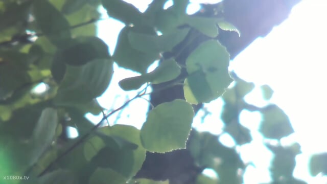 SA N437 - Yuu Kawakami (English Sub) (Reduce Mosaic)