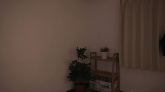 A mistress begs for a cumshot in your ear in this impregnation ASMR, putting your family on the brink of collapse, but you can't stop the dangerous cumshots into her cheating pussy. "I'll impregnate Sakura's pussy without telling your wife..." Kurumi Saku