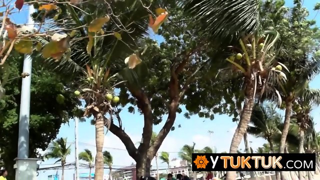 Two Thai cute whores found on the beach decide to please and satisfy a big white traveler s cock.