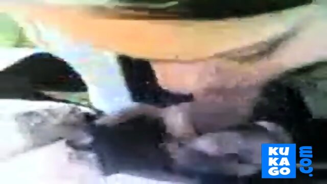 With Egyptian Woman In Car