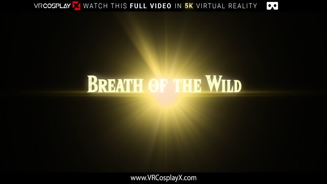 Young Blonde Princess Zelda Needs Master Sword AKA Your Dick