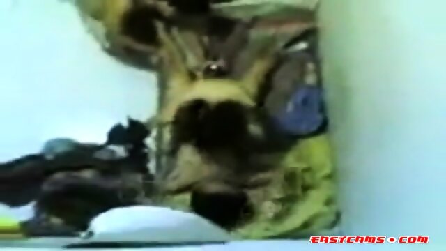 malay skodeng pesta seks