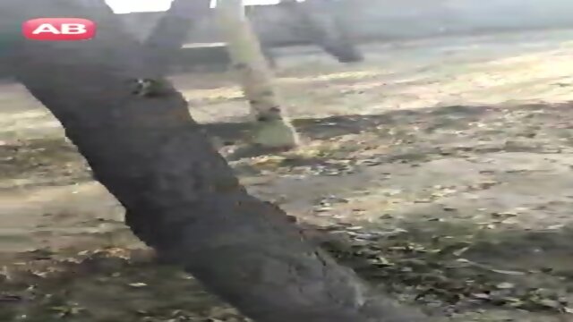 dehati college lovers ki outdoor chudai porn