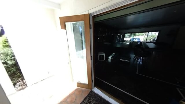 We  This Every Single Day Ameilie