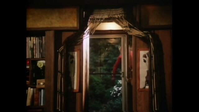 Sizzling Investigations (USA 1981, Lynx Canon, Loni Sanders)