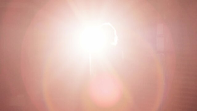 The Wealthy Dinner Party