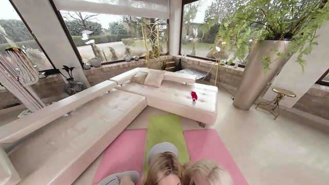 Anal Training For 3 Bitches