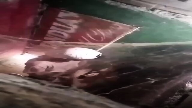 Kantutan sa cr viral 2023