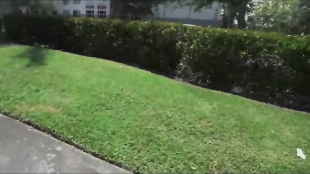 Britt james- Huge Pair of Tits