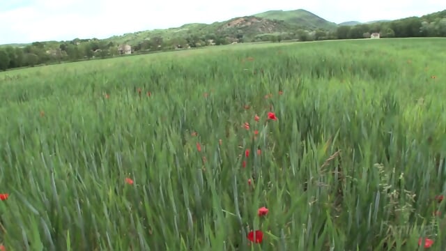 Noe, Pretty Girl From Portugal